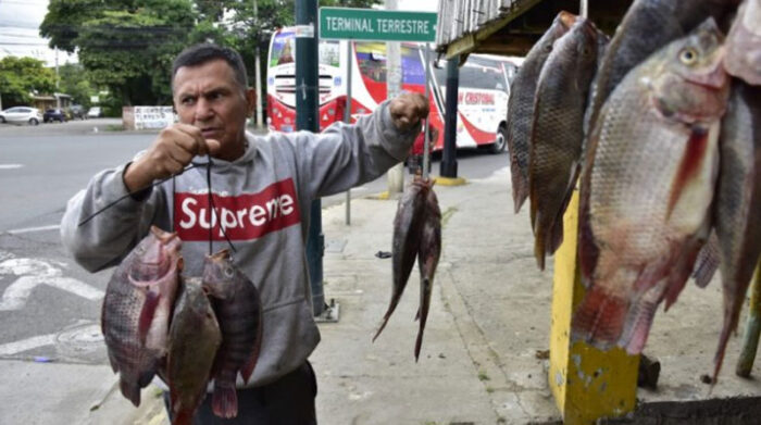 Raúl 'Cocacho' Macías, exjugador de Liga de Portoviejo, vende tilapias en la capital manabita. Foto: cortesía El Diario