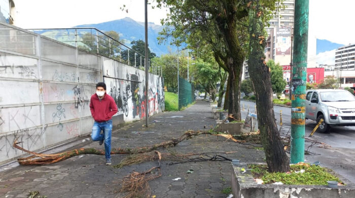 Trabajadores municipales limpian en la av. Patria para habilitar el tránsito. Foto: Twitter Obras Quito