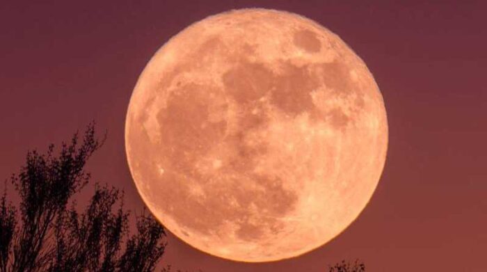 Una superluna se podrá observar este martes 14 de junio de 2022. Foto: Internet