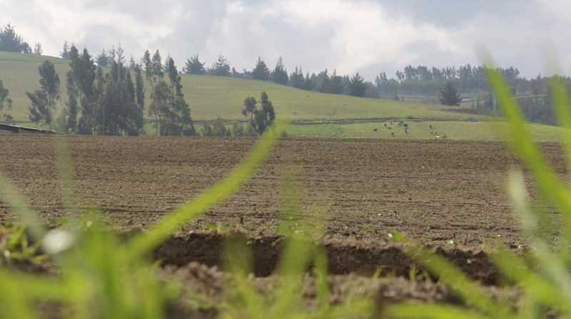 Más de 100 000 pequeños y medianos agricultores estarán entre los beneficiarios del subsidio al saco de urea. Foto: Facebook Ministerio de Agricultura