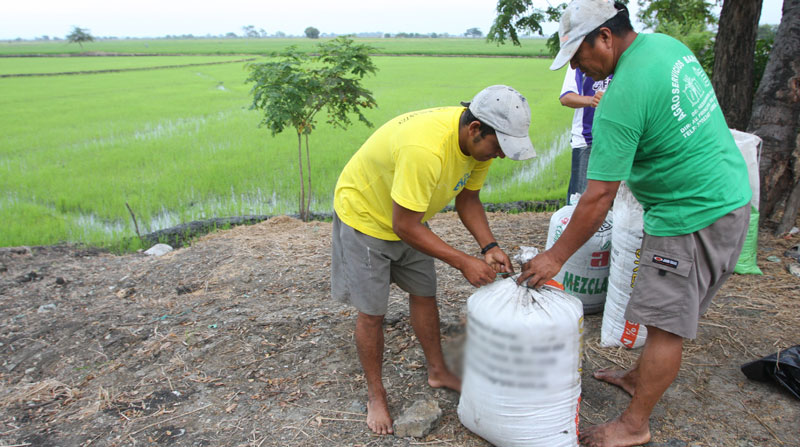 El Presidente Lasso anunció medidas para la urea que emplean los agricultores en Ecuador. Foto: Archivo/ EL COMERCIO