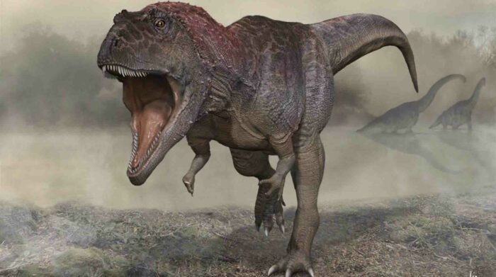 Representación artística del Meraxes gigas, una nueva especie de dinosaurio con brazos diminutos y unas cuatro toneladas de peso hallado en la Patagonia argentina. Foto: EFE.