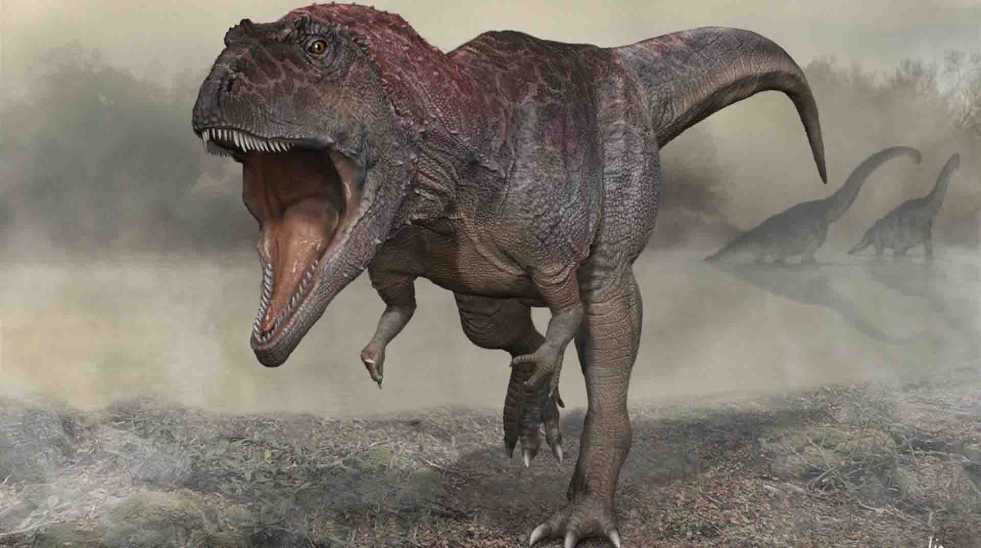 Representación artística del Meraxes gigas, una nueva especie de dinosaurio con brazos diminutos y unas cuatro toneladas de peso hallado en la Patagonia argentina. Foto: EFE.