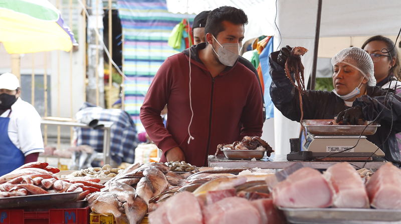 Los comerciantes que expenden pescados y mariscos traen los productos de las urbes de Manta, Machala, Pedernales y Esmeraldas. Foto: EL COMERCIO