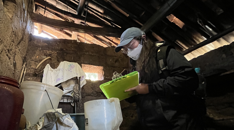 Los investigadores registraron las paredes de adobe, cuyas grietas son usadas por los chinchorros para vivir. Foto: Cortesía PUCE