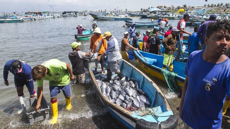 La pesca es la principal actividad productiva en la parroquia Santa Rosa de Salinas, en la provincia de Santa Elena. Foto: Enrique Pesantes / El Comercio