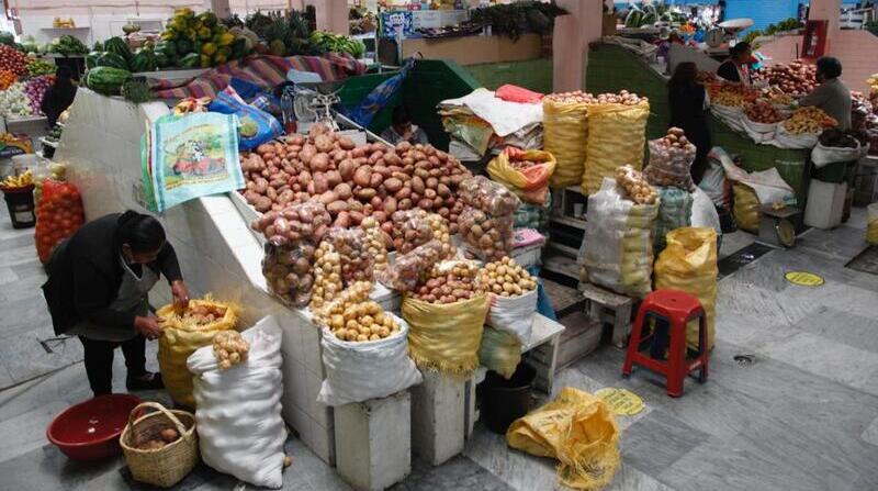 En cuanto a los vegetales, la vendedora María Tibán dijo que la mayor parte de precios se mantienen. Fotos: Patricio Terán / El Comercio