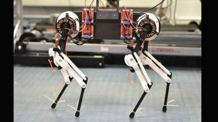 Investigadores del Instituto Max Planck (Alemania) construyeron un robot de cuatro patas, del tamaño de un perro labrador al que bautizaron como Morti. Foto: EFE