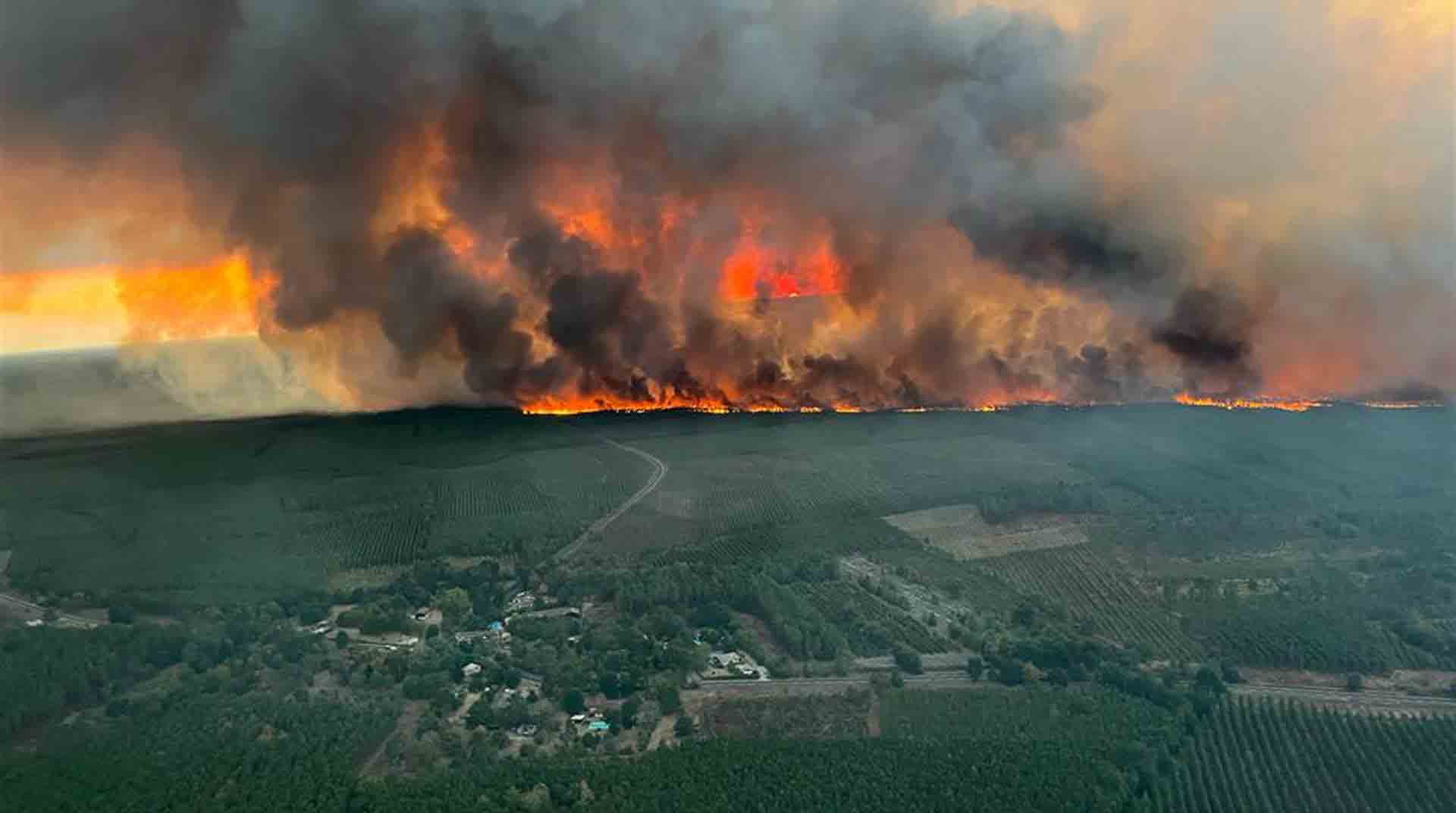 Miles de hectáreas se han visto afectadas por una oleada de incendios en Francia, en particular en el departamento de Gironda. Foto: EFE.