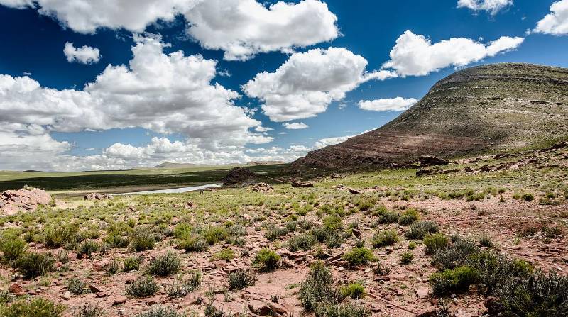Imagen referencial del desierto de Arizona. localizado en América del Norte cuya extensión es compartida entre dos países. Foto: Pixabay