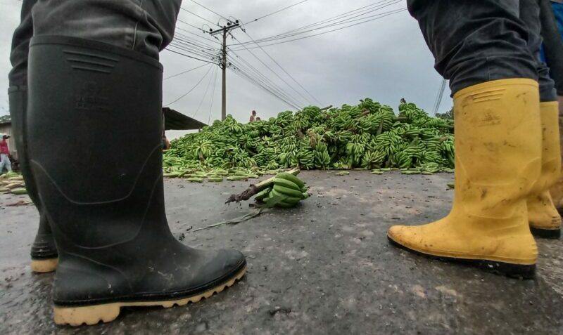 Pequeños productores de banano bloquean la vía a la altura de Puerto Inca durante una protesta el 14 de marzo del 2022. Foto: Cortesía.