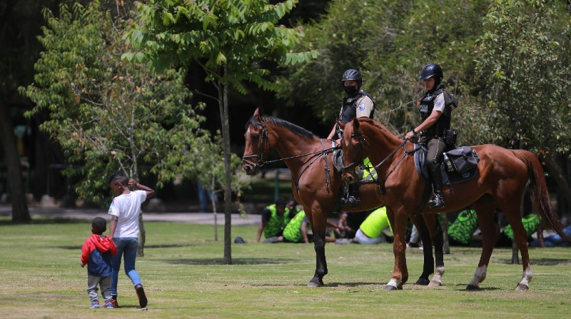 El parque de La Carolina es considerado por la ciudadanía como un lugar inseguro. Foto: Julio Estrella / EL COMERCIO