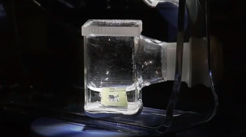 Hojas artificiales que reducen el CO2 en el laboratorio. Foto: Virgil Andrei