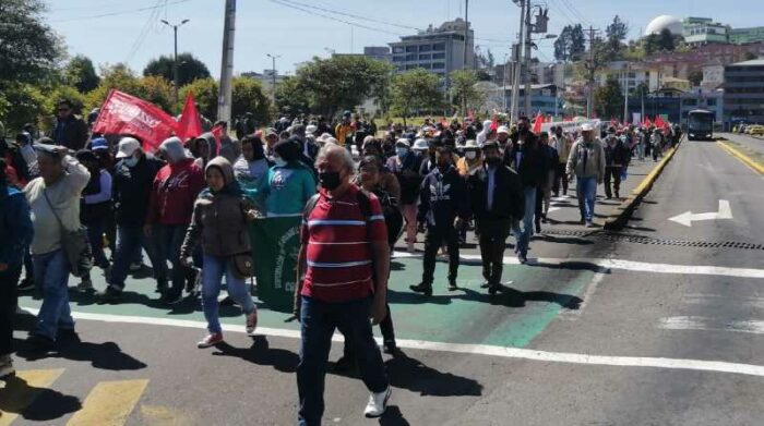 Un grupo de personas se movilizaron en el centro de Quito, como una forma de protesta. Foto: Twitter AMT