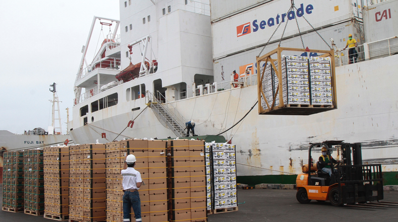 Los volúmenes de carga por los puertos ecuatorianos han disminuido ante la crisis de distintos segmentos económicos en el mundo. La actividad sigue pese a los desfases. Foto: Archivo / EL COMERCIO