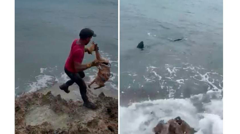Imagen del momento cuando el hombre lanza al mar al perro. Fotos: Coralina