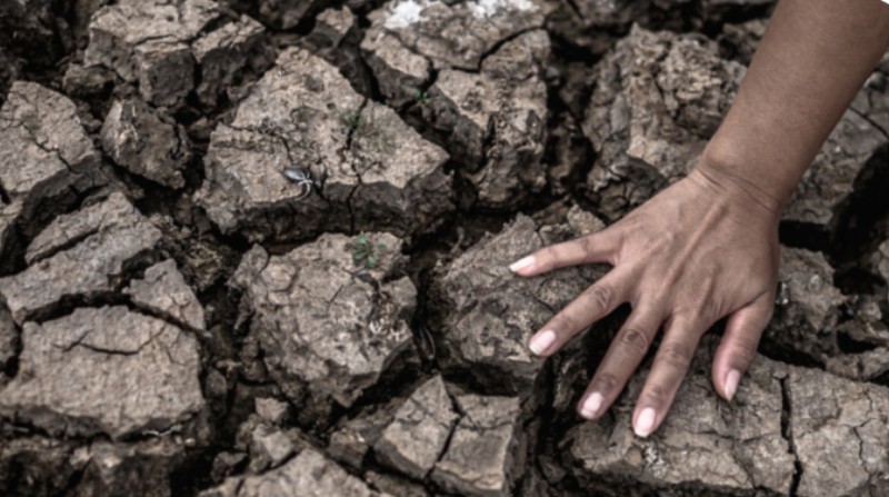 Las sequías son algunos de los fenómenos del cambio climático. Foto: Freepik