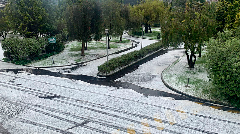 En la planta de EL COMERCIO, ubicado en San Bartolo, el granizo dejó un manto blanco sobre las áreas verdes. Foto: EL COMERCIO