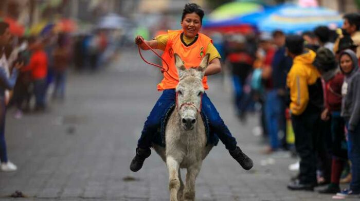 La carrera de burros más grande del mundo se realiza en Ecuador - El  Comercio