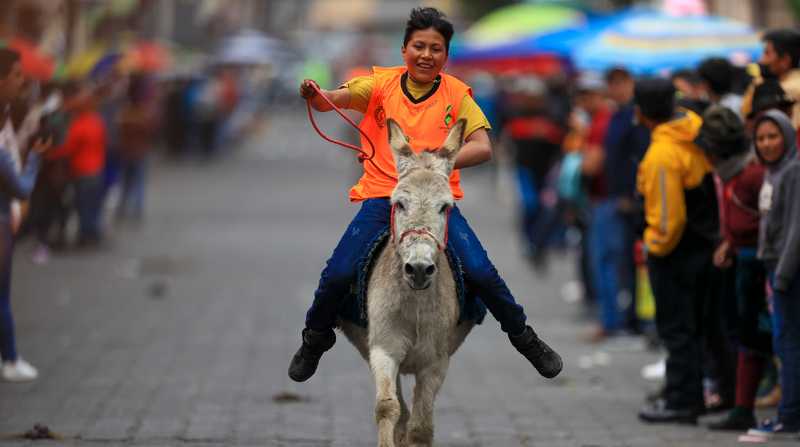 Varias personas con sus burros participan en una carrera, en Salcedo (Ecuador). Foto: EFE/ José Jácome