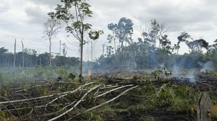En San José del Guaviare, en Colombia, parte de la selva ha sido incinerada para actividades agrícolas. Foto: EFE.