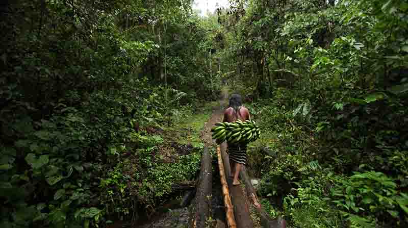 Los pueblos indígenas exigen la detención de actividades extractivas, como la petrolera y la minería, en la selva. Foto: Vicente Costales / EL COMERCIO