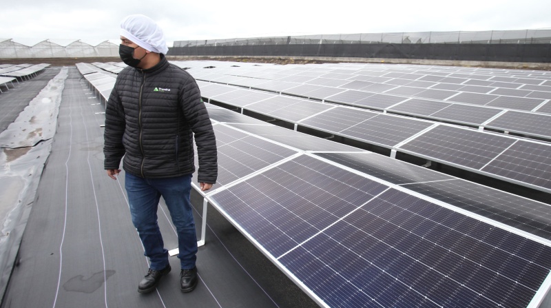 El uso de energías alternativas, como paneles solares, es parte de las recomendaciones para limitar las emisiones de CO2 a la atmósfera. Foto: Julio Estrella / EL COMERCIO.