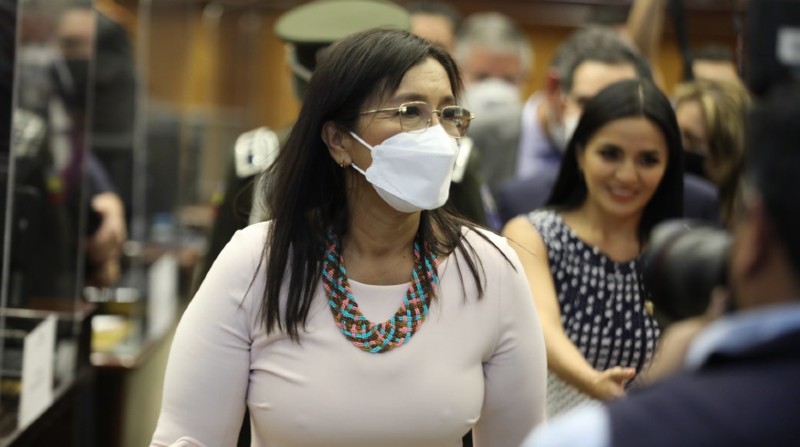 La legisladora correísta, Johanna Ortiz, presentó una denuncia en contra de la expresidenta del Parlamento Guadalupe Llori. Foto: Asamblea