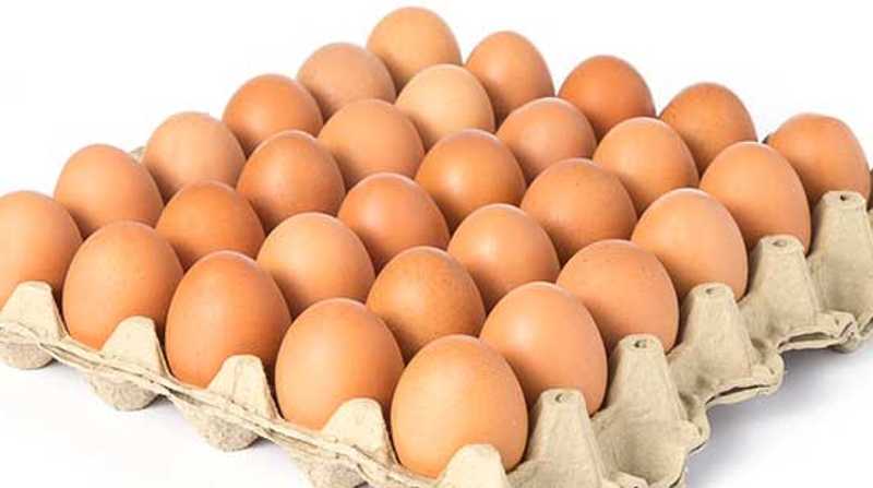 Sube de precio la cubeta de huevos debido al incremento de los insumos avícolas. Foto: Internet