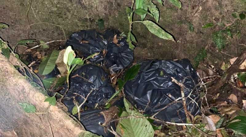 Varias fundas de plásticos con artefactos explosivos fueron encontrados en la selva. Foto: Internet