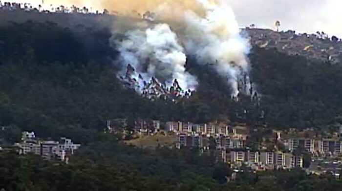 Un incendio forestal se registró este lunes en Quito. Foto: Cortesía ECU 911