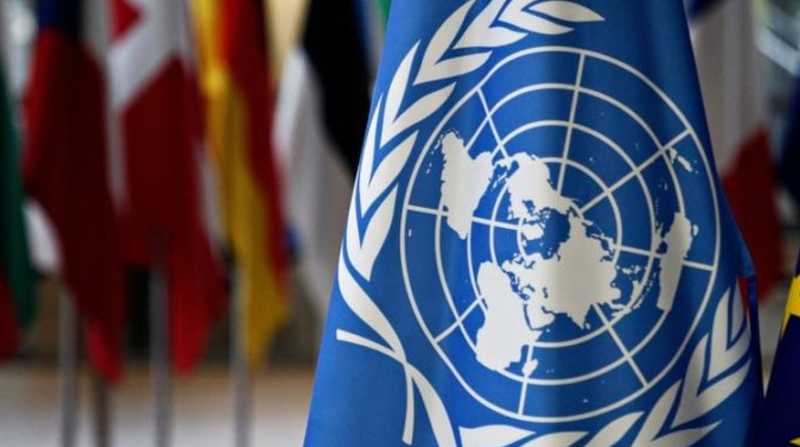 Imagen referencial. La oficina de Naciones Unidas en Ecuador piden acciones concretas al Gobierno sobre el caso María Belén Bernal. Foto: Internet