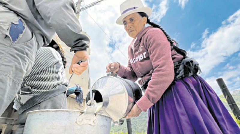 La venta de la leche es el principal sustento de las familias de Cumbe. Foto: Lineida Castillo / El Comerco