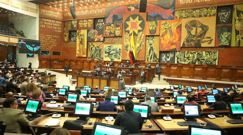 Después de dos horas de discusión, 107 asambleístas aprobaron una resolución de ocho puntos. Foto: flickr Asamblea Nacional del Ecuador
