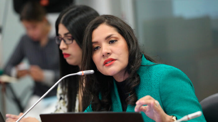 Sofía Almeida fue la primera en comparecer a la Comisión de Fiscalización. Foto: Twitter @CpccsEc