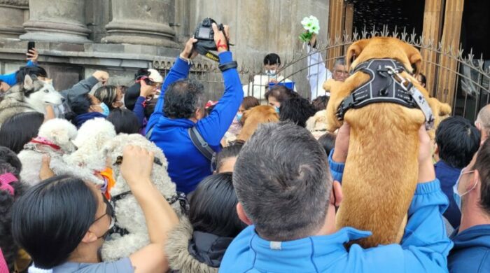 Fieles levantan a sus mascotas en brazos para recibir la bendición. Foto: Orlando Silva / EL COMERCIO.
