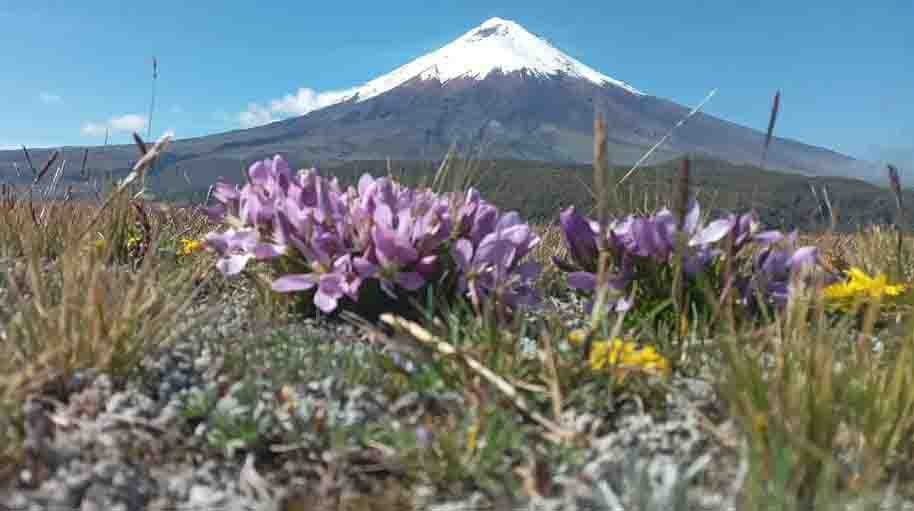 Imagen referencial. El Ministerio de Ambiente informó del cierre del Parque Nacional Cotopaxi por actividad volcánica que inició el viernes 21 de octubre de 2022. Foto: Facebook Parque Nacional Cotopaxi.
