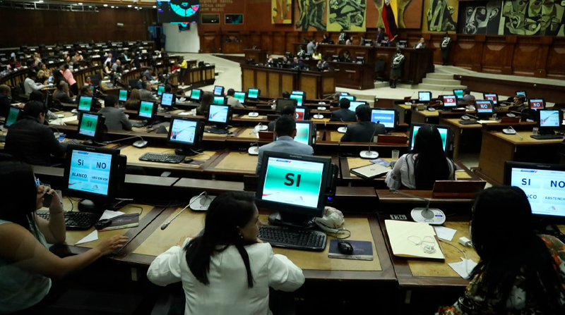 La moción fue presentada por la presidenta de la Comisión de Régimen Económico, Mireya Pazmiño, del ala radical de Pachakutik. Foto: Twitter @AsambleaEcuador