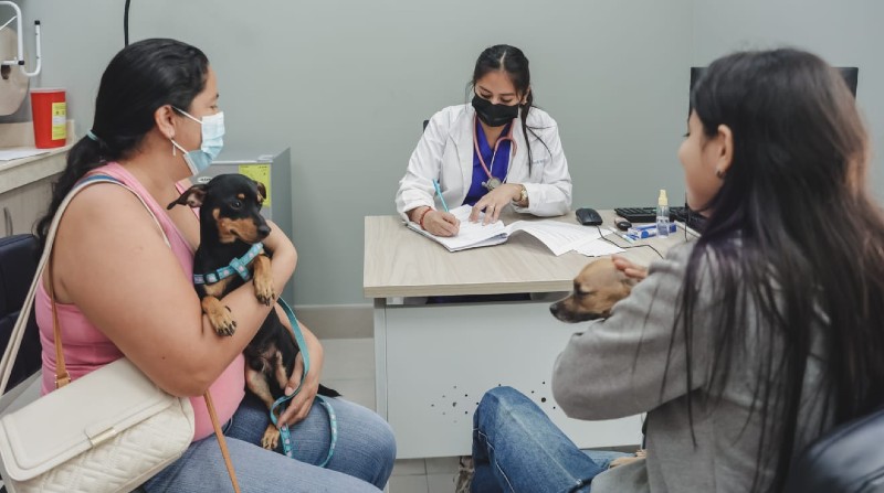 El nuevo Centro de Bienestar Animal cuenta con dos consultorios, quirófano, laboratorio y comisaría para denuncias de maltrato animal. Foto: Municipio de Guayaquil