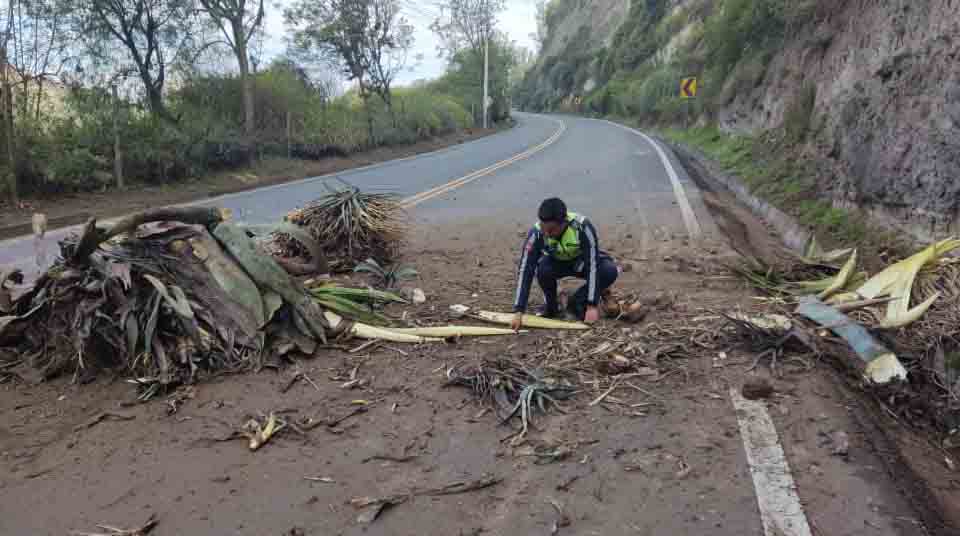 Imagen referencial. Varias emergencias viales se registraron en Quito debido a la lluvia, el ECU 911 atendió una docena de llamados entre el 21 y el 24 de octubre de 2022. Foto: Twitter AMT