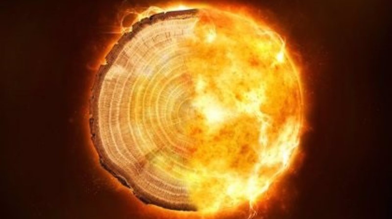Una imagen compuesta de un anillo de árbol y llamas: los investigadores de la UQ analizaron datos de anillos de árboles para medir eventos cósmicos históricos. Foto: Europa Press.