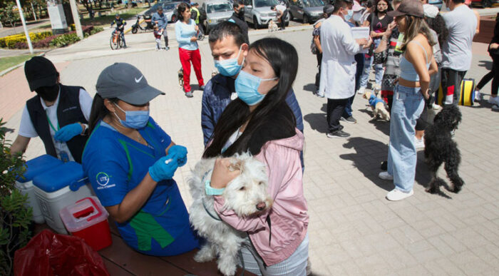 Las personas llevaron a sus mascotas a vacunar contra la rabia en el parque La Carolina, norte de Quito. Foto: Carlos Noriega/ EL COMERCIO