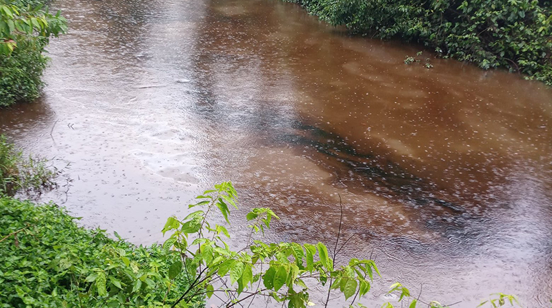 En videos publicados en redes sociales se puede ver cómo una mancha oscura y viscosa navega en el río Teteye. Foto: Twitter @donald_moncayo