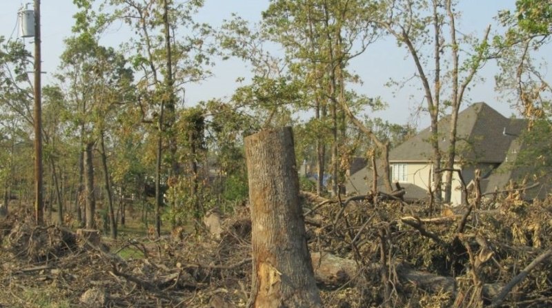 Daños en zona boscosa por un huracán en una fotografía de archivo. Foto: Europa Press