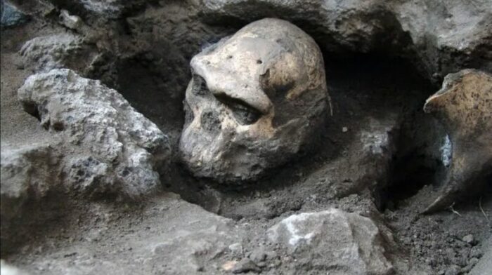 Los análisis a los restos óseos prehistóricos revelan información sobre los cavernícolas. Foto: Wikipedia.