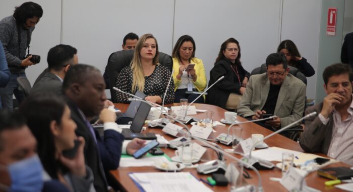 La presidencia de la Comisión de Fiscalización se ha encargado a la oficialista Ana Cordero. Foto: Cortesía Asamblea Nacional.