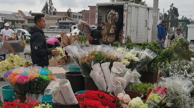 Rosas, gladiolos, alelíes, girasoles y claveles son algunas de las clases de flores que se venden en Ambato. Foto: Modesto Moreta / EL COMERCIO.