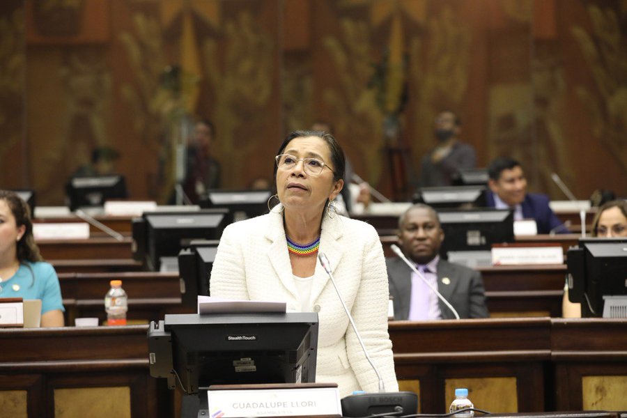Guadalupe Llori, asambleísta de Pachakutik, en la sesión del Pleno el miércoles 23 de noviembre. Foto: Asamblea.