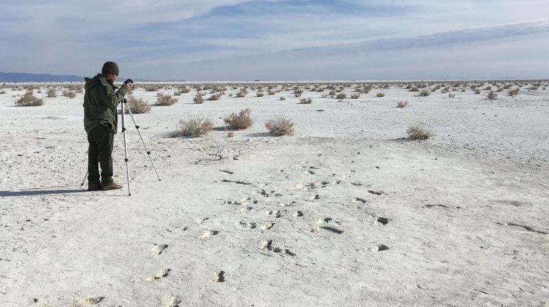 Las huellas del parque nacional White Sands son reconocidas como pruebas del primigenio poblamiento de América. Foto: Freepik.