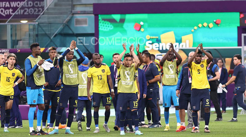 La Selección de Ecuador volverá a las canchas para los partidos de las siguientes eliminatorias al próximo Mundial 2026. Foto: Diego Pallero/ EL COMERCIO